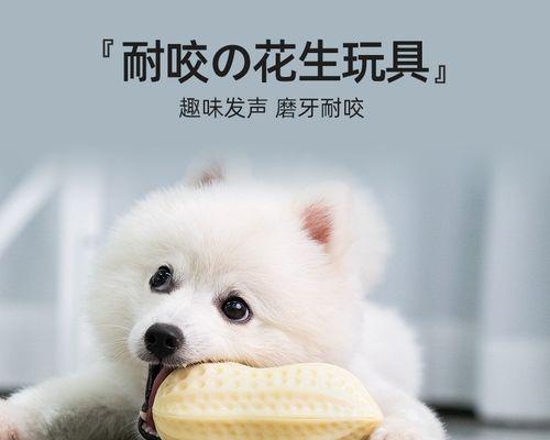 如何彻底解决萨摩耶犬的口臭问题（从饮食、口腔清洁到病情排查，全面解析口臭治疗方法）