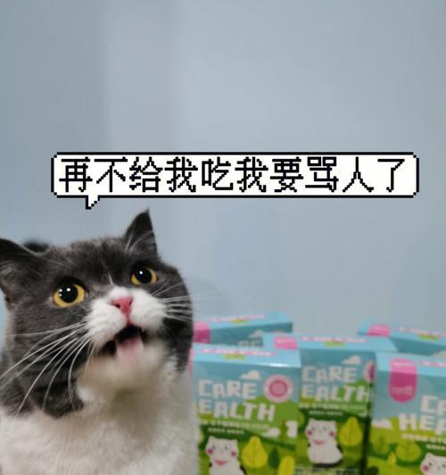 经常舔毛的猫咪怎么吐毛？