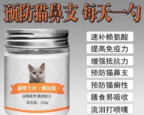 宠物饲养中的猫鼻支预防和注意事项（为宠物健康，从细节做起）