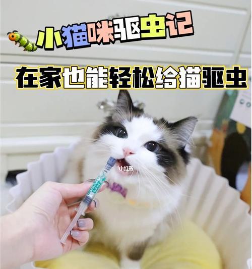 揭秘猫咪毛球症的形成过程（探究宠物猫咪为何易患毛球症以及预防方法）