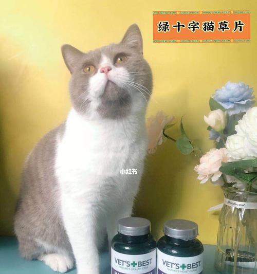 揭秘猫咪毛球症的形成过程（探究宠物猫咪为何易患毛球症以及预防方法）