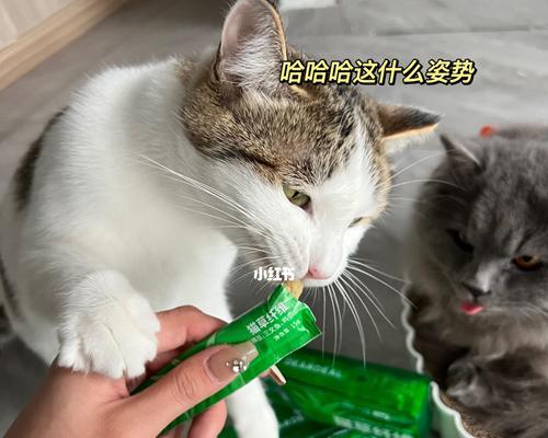 猫草的重要性——让你的宠物猫健康快乐（为什么平常一定要让猫咪吃猫草？——猫咪的健康需要它）