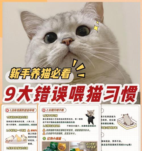 如何培养猫咪良好的便溺习惯（宠物爱好者必看，轻松教猫咪上厕所的小技巧）