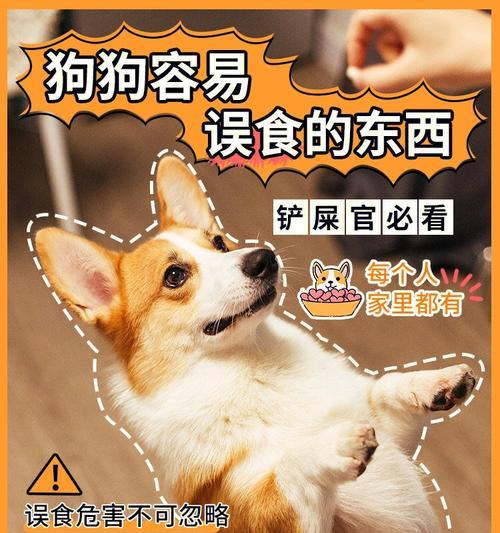 如何防止比格犬乱翻垃圾桶？（教你7种方法让宠物变乖）