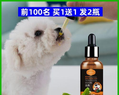 如何清理贵宾犬的眼睛卫生（做好宠物眼部卫生，让贵宾犬健康快乐）