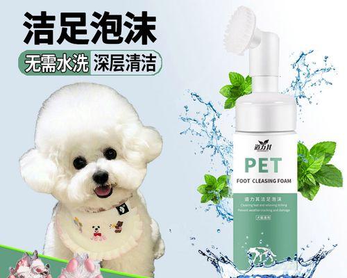 如何正确帮比熊犬洗脚？（宠物爱干净，你的正确护理是最重要的）