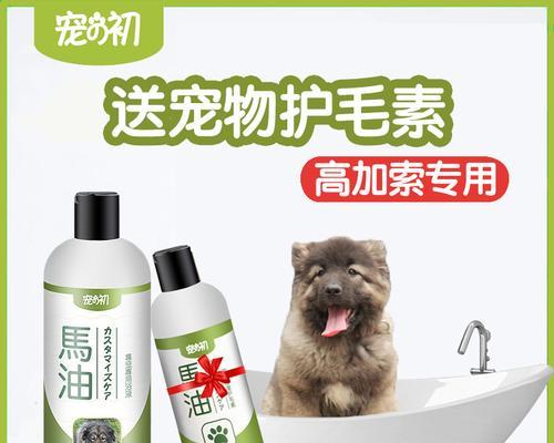 如何正确给高加索犬洗澡（高加索犬洗澡全攻略，让你的宠物健康又舒适）