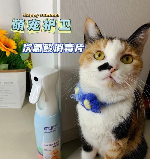 如何保障猫咪日常安全？（为你的爱猫提供全方位保护）