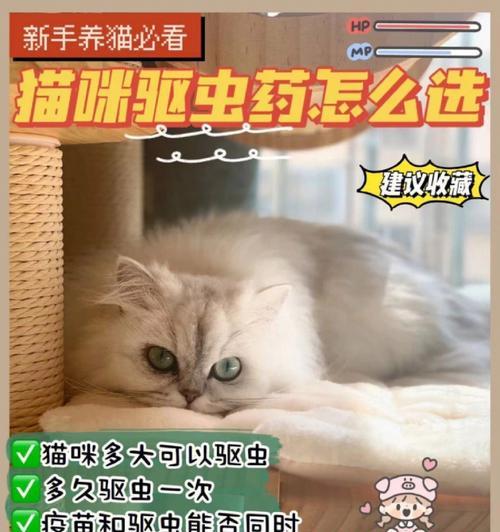 如何为三个月大的猫咪做驱虫？（宠物健康的保障，从做好驱虫开始！）