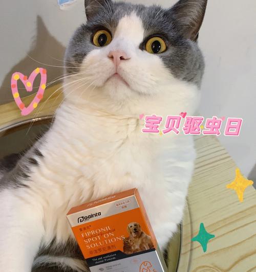 小猫咪驱虫时间表（宠物养护必备，驱虫不可少；如何选择合适的驱虫方案？）