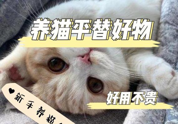 宠物猫的家庭养殖有何优点？（爱猫人士的选择——家养猫）