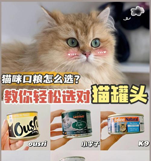 如何正确保鲜猫罐头（让宠物健康吃罐头，你需要知道的保鲜技巧）