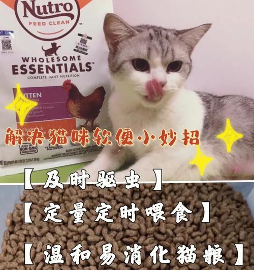 宠物猫咪的体外驱虫时间和方法（初次体外驱虫的时间和注意事项）