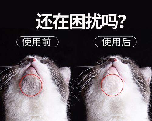 如何减少猫咪掉毛？（选择适合的沐浴露对猫咪的健康有益）