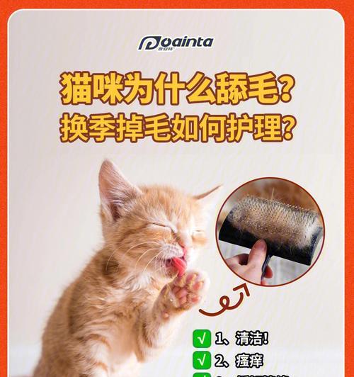 如何清理猫咪掉下来的大量毛发？（宠物毛发清理技巧，让你的家更干净）