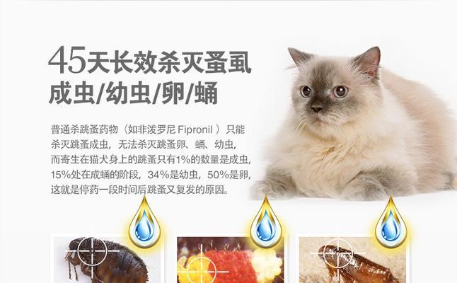 猫的跳蚤如何处理（各种方法试一下，帮助宠物猫摆脱跳蚤之苦）