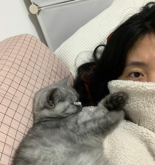 为什么宠物猫会呼噜呼噜？（探究小猫呼噜声背后的原因和意义）