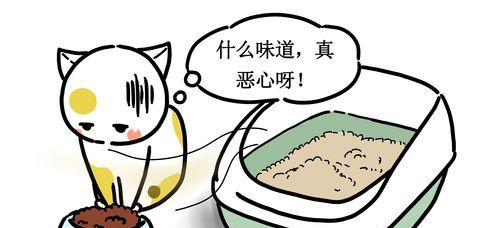 夏季猫咪不吃东西怎么办？（宠物饮食健康应注意的七个方面）