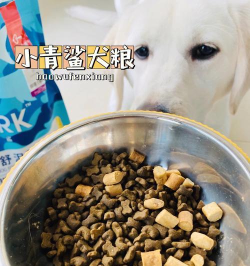 以狗粮蛋白质和脂肪哪个是长肉的（探究宠物狗的饮食结构和营养需求，帮助饲主科学喂养）