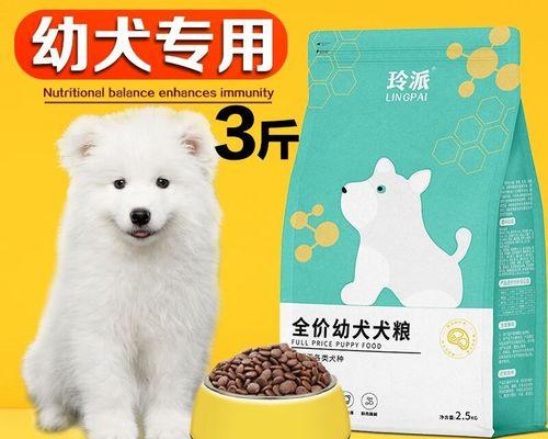 如何合理地喂养两个月萨摩犬（每日饮食规划及注意事项）