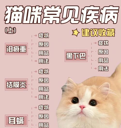 猫咪输液必备——氯化钠注射液（安全有效的宠物输液选择）