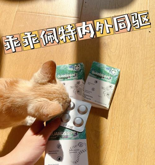 如何给宠物猫咪正确使用打虫药？（用量和注意事项，）