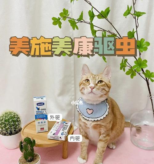 如何给宠物猫咪正确使用打虫药？（用量和注意事项，）