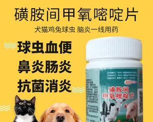 猫咪得脑炎的原因及预防措施（保护宠物健康，从预防脑炎开始）