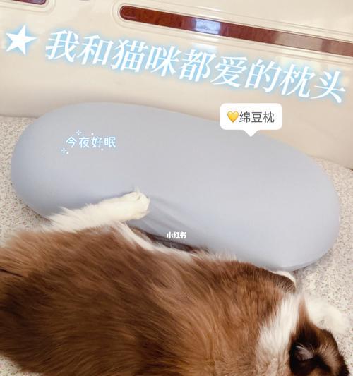 猫咪翻眠的危害及解决方法（如何避免猫咪翻眠对宠物健康的影响）