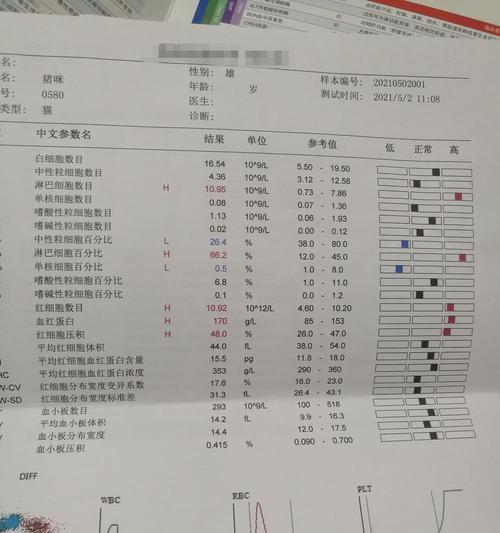 猫咪结节（宠物爱护指南，学会保护您的小猫咪）