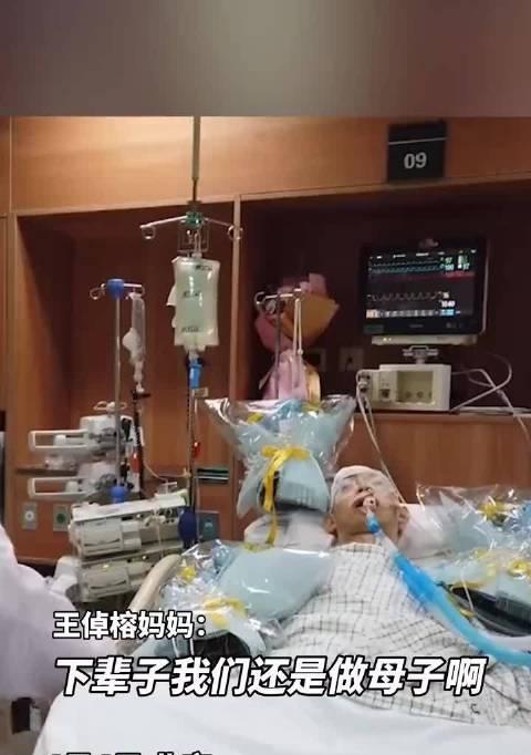 探讨猫咪脑死亡（宠物主人必知的常识和应对方法）