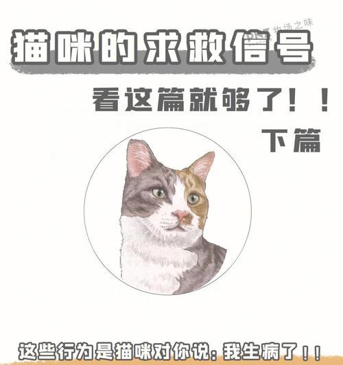 揭秘猫咪尿毒症（宠物主人必读，猫咪尿毒症不可掉以轻心）