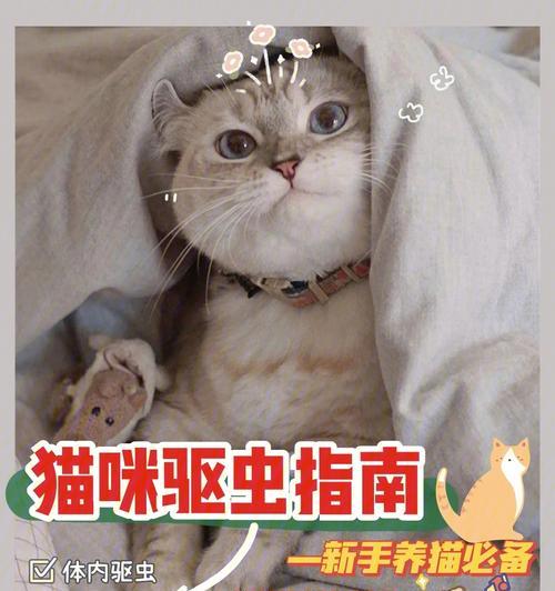 猫咪驱虫全记录（以猫咪为主，从驱虫记录看宠物养护）