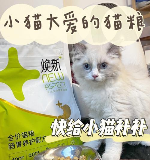 如何照顾新生儿猫咪？（宠物主人必看，一步步教你正确照顾新生儿猫咪）