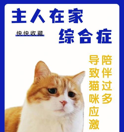 猫咪应激药是宠物必备之物吗？（猫咪应激药多少钱？如何选择合适的应激药？）