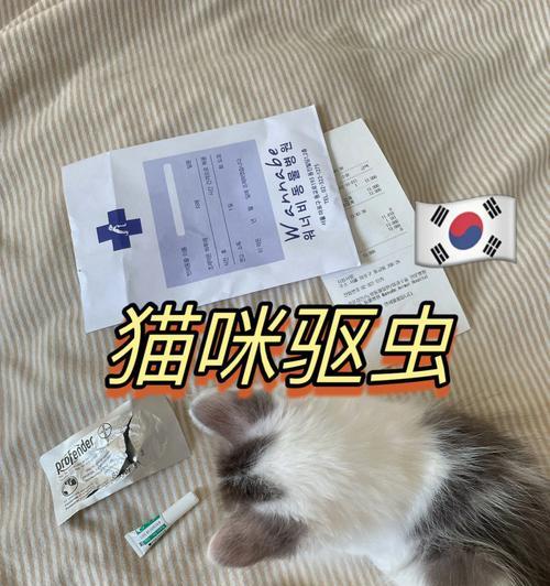 宠物猫什么情况下需要打预防针？（详解猫咪预防针接种的时间和方式）