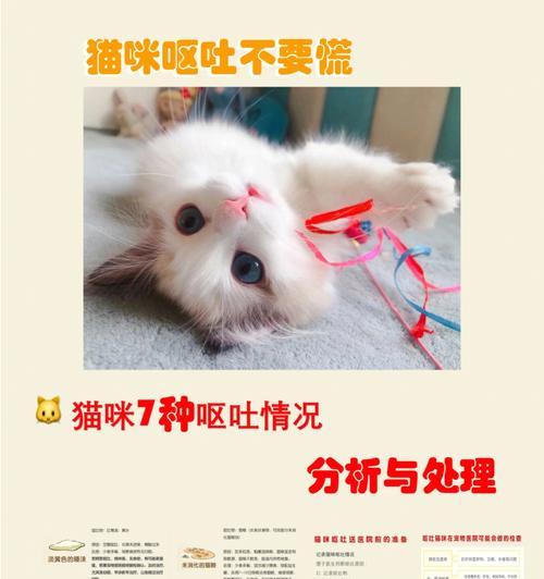 珍爱生命，不伤害小猫（女生伤害小猫现象调查及预防措施）