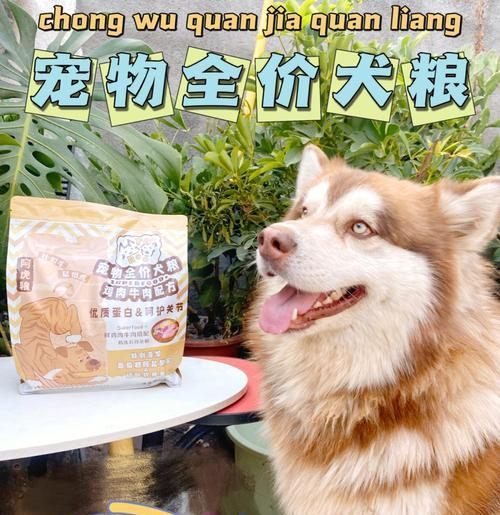 自制营养均衡的阿拉斯加犬狗粮菜谱（为宠物提供的饮食选择，做个贴心的主人）