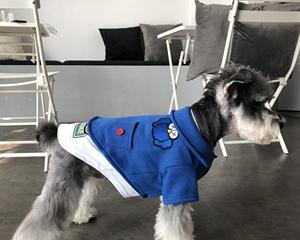 如何为你的宠物犬选择适合的服装？（探讨以巴哥犬的穿衣风格与注意事项）