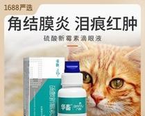 以巴哥犬眼药水使用指南（选择正确的眼药水，保护你的爱宠）