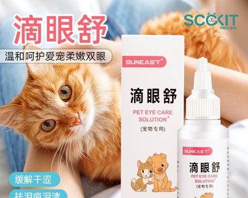 猫咪的泪痕与眼屎之谜（探秘宠物护理的必知技巧）