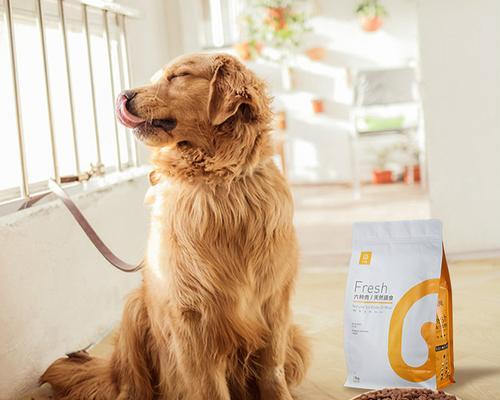 六个月泰迪狗主要以什么为食（宠物犬饮食指南）