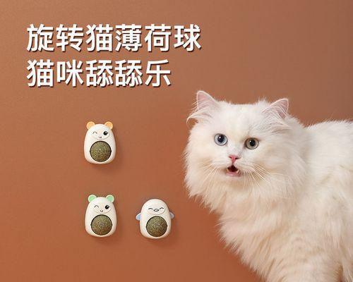 猫薄荷对小猫咪的危害大吗（保护宠物）