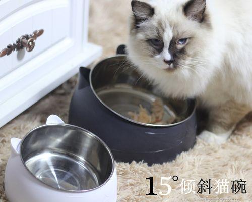 猫咪年龄如何计算（从一岁到老年）