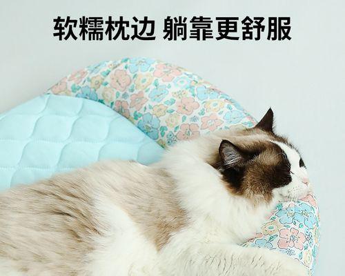 猫咪年龄如何计算（从一岁到老年）