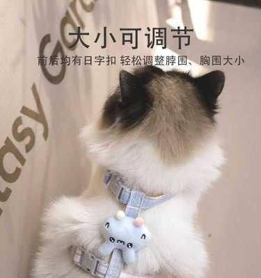 猫妈妈的咬蹬之爱（探寻猫妈妈对小猫的爱与管教方式）