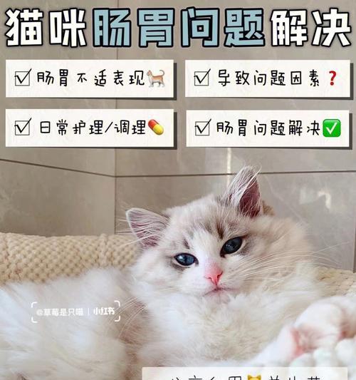 宠物猫拉肚子怎么办（用药治疗）