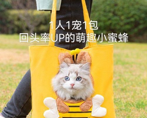 揭开“猫老冲你叫”的神秘面纱（探究猫咪叫声的真实含义与宠物主人之间的默契）