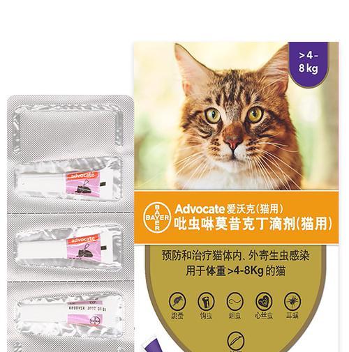 宠物猫的健康需要认真呵护，喂食驱虫药也要注意方法（宠物猫的健康需要认真呵护）