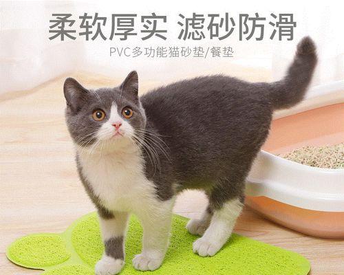 猫砂误食对猫咪健康的影响（如何预防猫咪误食猫砂）